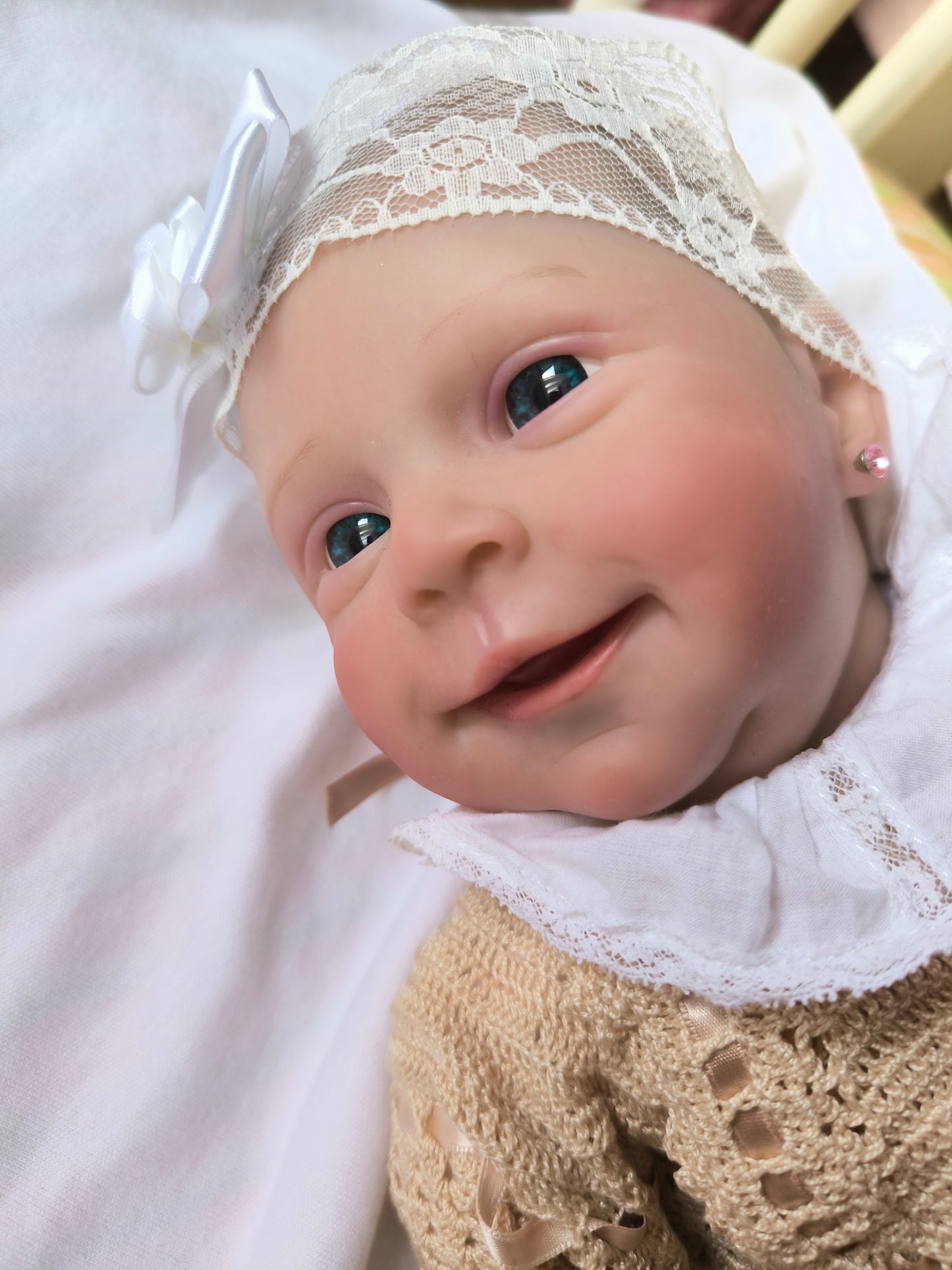 Carolina - 42CM